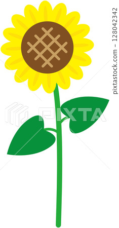 Cute sunflower Cute sunflower 128042342