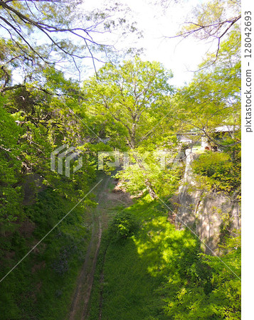 Komoro Castle Kitani 128042693