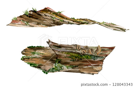Fallen tree trunk log bark covered in moss lichen fungus growth. Forest woodland floor detritus biodiversity habitat. Single element watercolor hand drawn illustration. Botanical study, wildcrafting Fallen tree trunk log bark covered in moss lichen fungus growth. Forest woodland floor detritus biodiversity habitat. Single element watercolor hand drawn illustration. Botanical study, wildcrafting 128043343