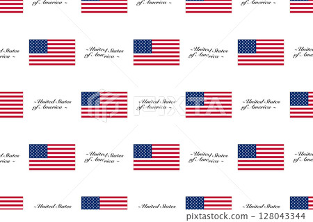 Seamless pattern background with the USA flag and country name 128043344