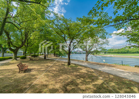 A scene of the park wrapped in fresh green 128043846