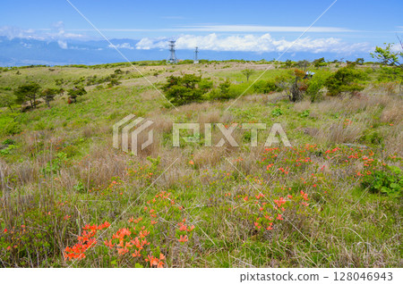 從高木崎山頂眺望高原 從高木崎山頂眺望高原 128046943
