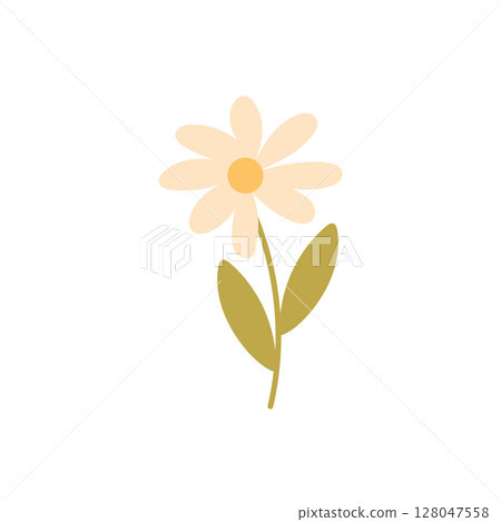 Soft Daisy Illustration with Golden Leaves Soft Daisy Illustration with Golden Leaves 128047558