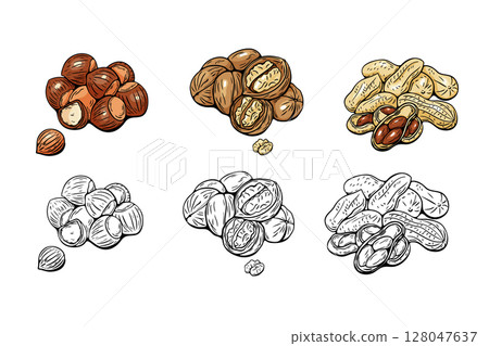 Hazelnut, walnut and peanut illustrations in vector style Hazelnut, walnut and peanut illustrations in vector style 128047637