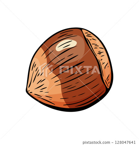 Single hazelnut in color hand-drawn illustration 128047641