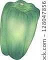 Japanese style bell pepper illustration 128047856