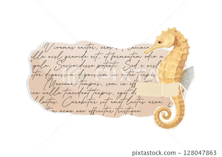 Seahorse with vintage torn paper and handwritten text background Seahorse with vintage torn paper and handwritten text background 128047863