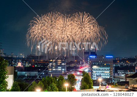 Tokyo Racecourse Fireworks 2025 128048027