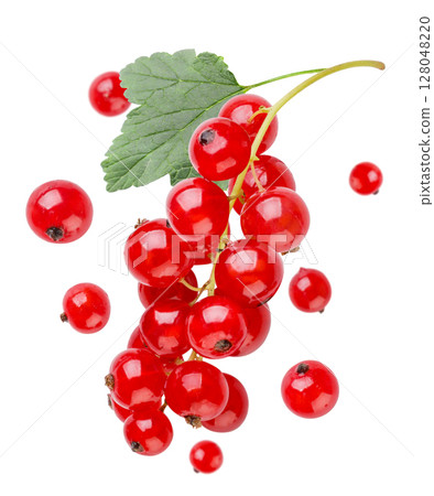 Ripe red currant with leaf and flying berries close-up on a white background. Isolated Ripe red currant with leaf and flying berries close-up on a white background. Isolated 128048220