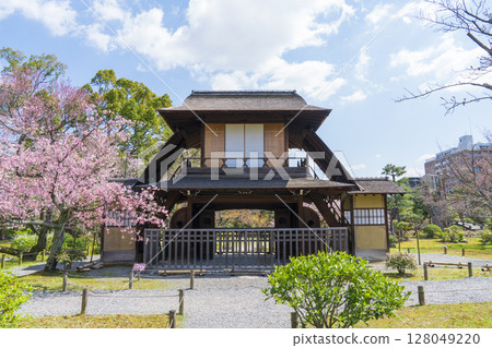 Cherry blossoms in Kyoto 128049220