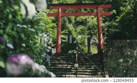 Togyosha Shrine and Hydrangea Ball 1 128049453
