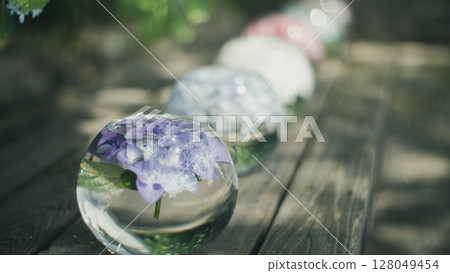 東行社和繡球2 128049454