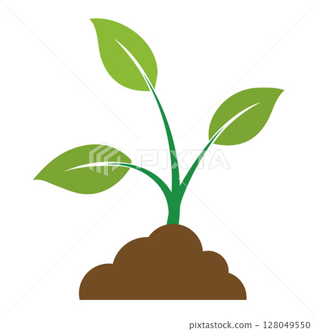 Vector illustration of a budding leaf 128049550