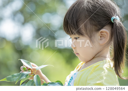 A girl looking at acorns in the park A girl looking at acorns in the park 128049564