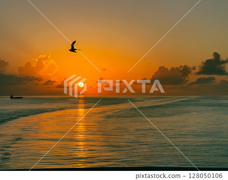 Caribbean sunset Caribbean sunset 128050106