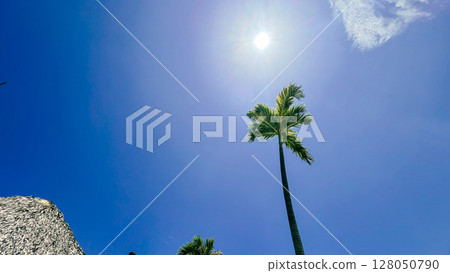 遊輪前往多明尼加共和國 遊輪前往多明尼加共和國 128050790