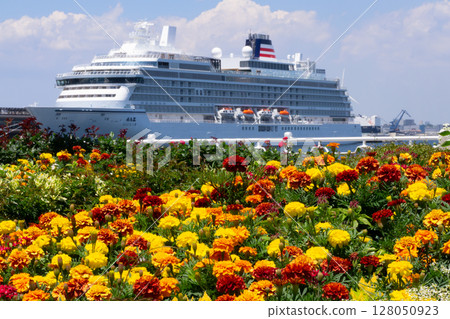夏季萬壽菊裝飾橫濱港和豪華遊輪飛鳥三號 128050923