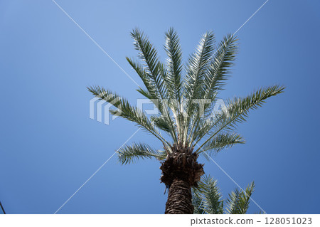 Santa Monica Santa Monica 128051023