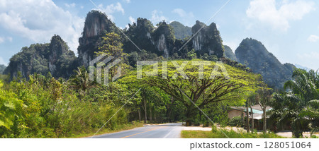 Landscapes of famous places in Thailand - Panorama combining mountains, rainforest and an unusual green tree by the road - entrance to Khao Sok National Park 128051064