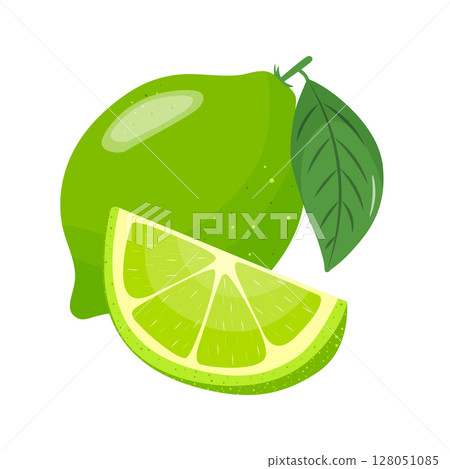 Green lime set. Bright whole fruits with leaves, halves, slices. Elements for spring and summer design. Hand drawn. 128051085