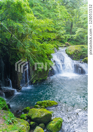 (Kumamoto Prefecture) Kikuchi Valley, Tengu Falls and Ryugabuchi (Kumamoto Prefecture) Kikuchi Valley, Tengu Falls and Ryugabuchi 128051532