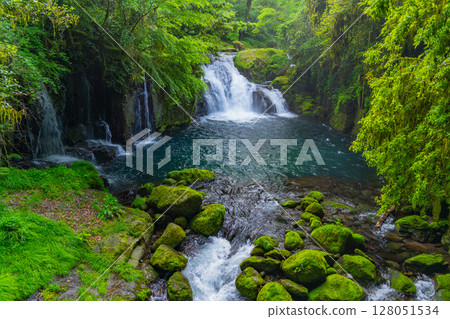 (熊本縣)菊池溪谷、天狗瀑布、龍之渕 (熊本縣)菊池溪谷、天狗瀑布、龍之渕 128051534