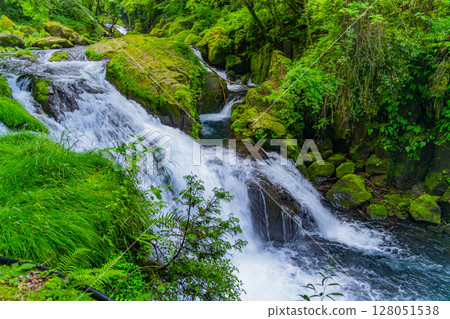 (Kumamoto Prefecture) Kikuchi Valley, Tengu Falls and Ryugabuchi 128051538
