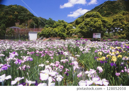 Kawasu花園 Kawasu花園 128052038