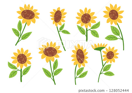 Hand drawn set of bright yellow sunflowers with green leaves in different positions on white background 128052444