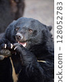 Black bear 128052783
