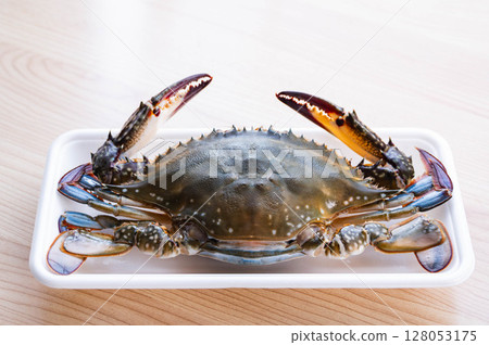 Gazami crab Gazami crab 128053175