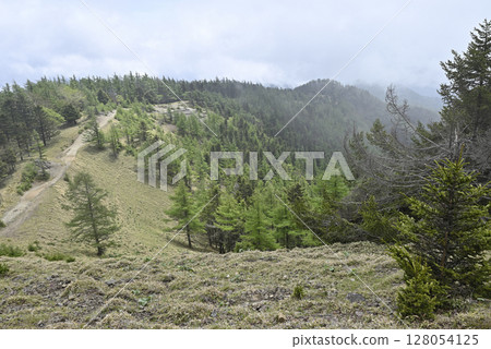 攀登東京雲取山 128054125