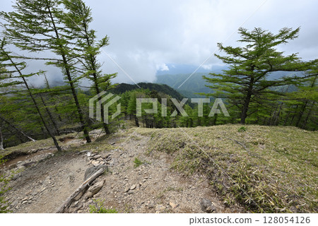 攀登東京雲取山 攀登東京雲取山 128054126
