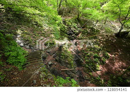 Climbing Mount Kumotori, Tokyo 128054141