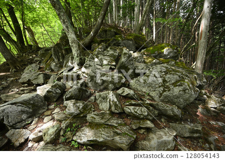 Climbing Mount Kumotori, Tokyo 128054143