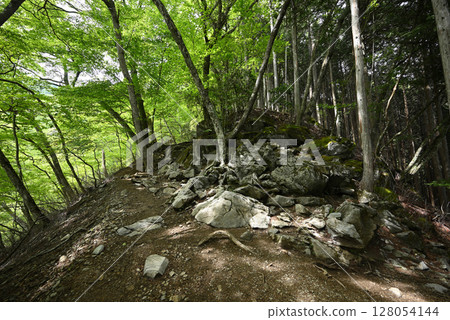 攀登東京雲取山 128054144