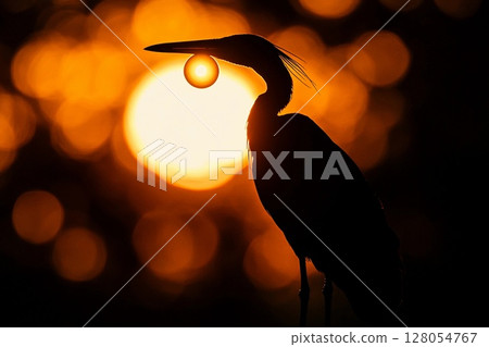 Silhouette of bird holding shining sun against vibrant sunset sky 128054767