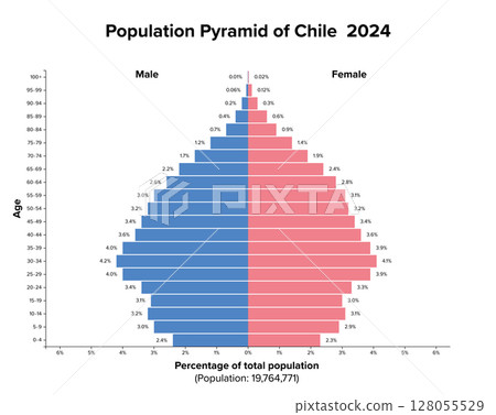 Chile, population pyramid, 2024. Age structure diagram and graphical illustration of the distribution of about 20 million people, divided into females and males, quoted in percent and 4-year steps. Chile, population pyramid, 2024. Age structure diagram and graphical illustration of the distribution of about 20 million people, divided into females and males, quoted in percent and 4-year steps. 128055529