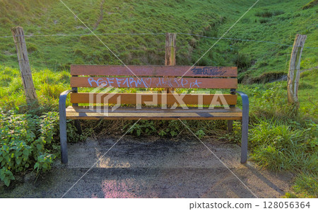 A bench sitting on a promenade adorned with graffiti art. A bench sitting on a promenade adorned with graffiti art. 128056364