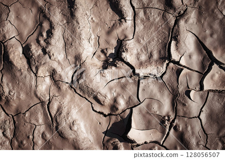 Dry cracked earth surface revealing texture and patterns under bright sunlight in a natural landscape 128056507