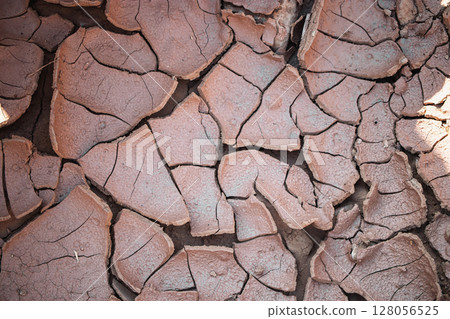 Cracked earth reveals dryness in arid landscape under bright sunlight during mid-day hours 128056525