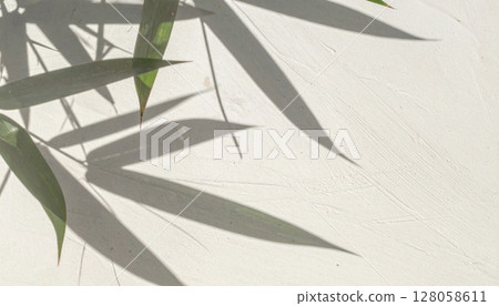 Green Bamboo Leaves Cast Shadows on White Wall 128058611