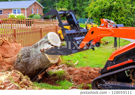 Construction skid steer machinery removes large tree stump from grassy residential yard, by fences. Construction skid steer machinery removes large tree stump from grassy residential yard, by fences. 128059111