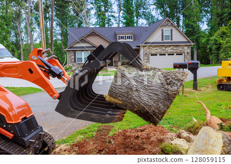 Construction skid steer equipment extracts massive tree stump from yard located in peaceful residential area after strong tornado 128059115