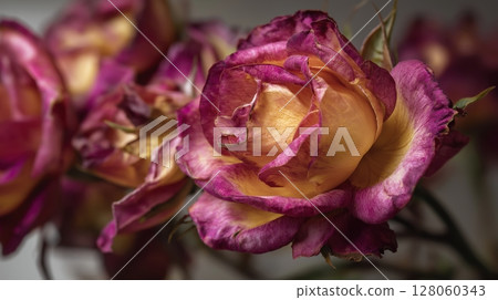 Withered Beauty 128060343
