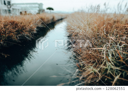 A ditch or creek with cold blue grey water among dry reed grass grows along a body of water in the bleak fall season. Countryside landscape, wild land 128062551