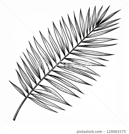Black And White Detailed Palm Leaf Illustration 128063575