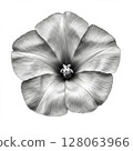 Monochrome Close Up of a Delicate Flower 128063966