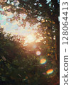 Sunlit Forest Scene with Golden Hour Light 128064413