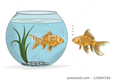 Two fish and an aquarium 128064788